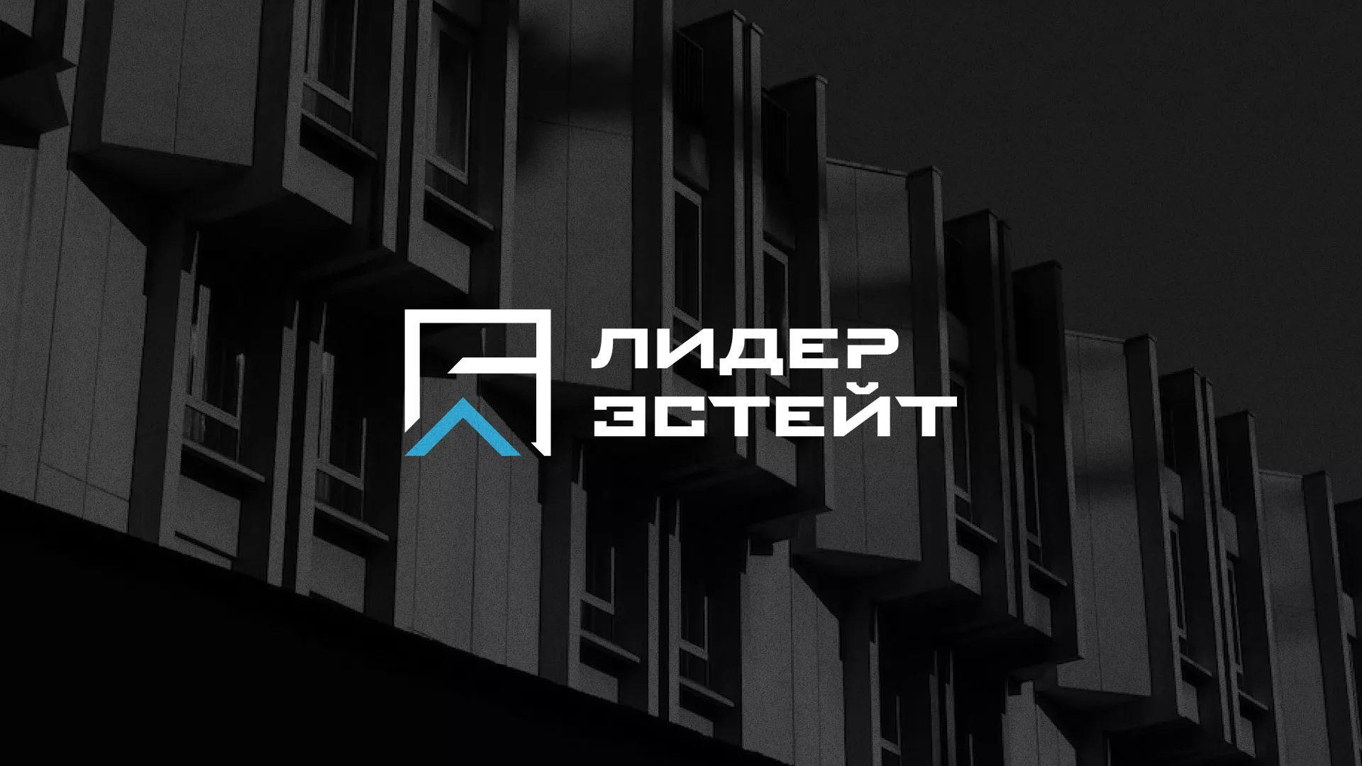 Разработка логотипа агентства недвижимости «Лидер Эстейт» в Котельниче